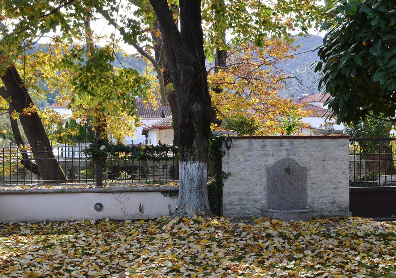 Polikarpi "The Plane Trees" 빌라 외부 사진