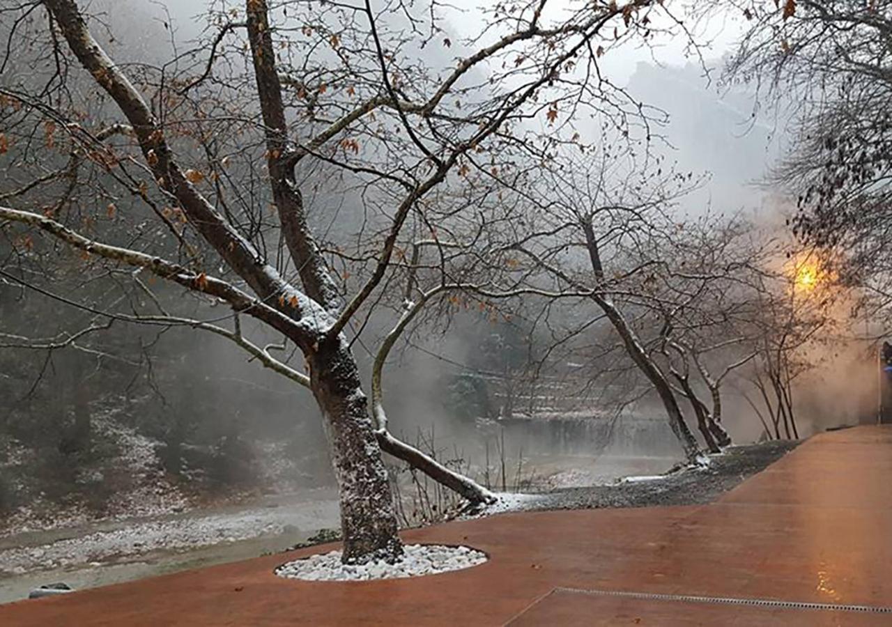 Polikarpi "The Plane Trees" 빌라 외부 사진